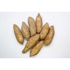 台農57號 黃金薯 (50台斤) - 布袋裝 (中) 